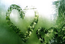 PG电子官网入口-帕尔梅拉斯锋线火力全开，防守压力山大