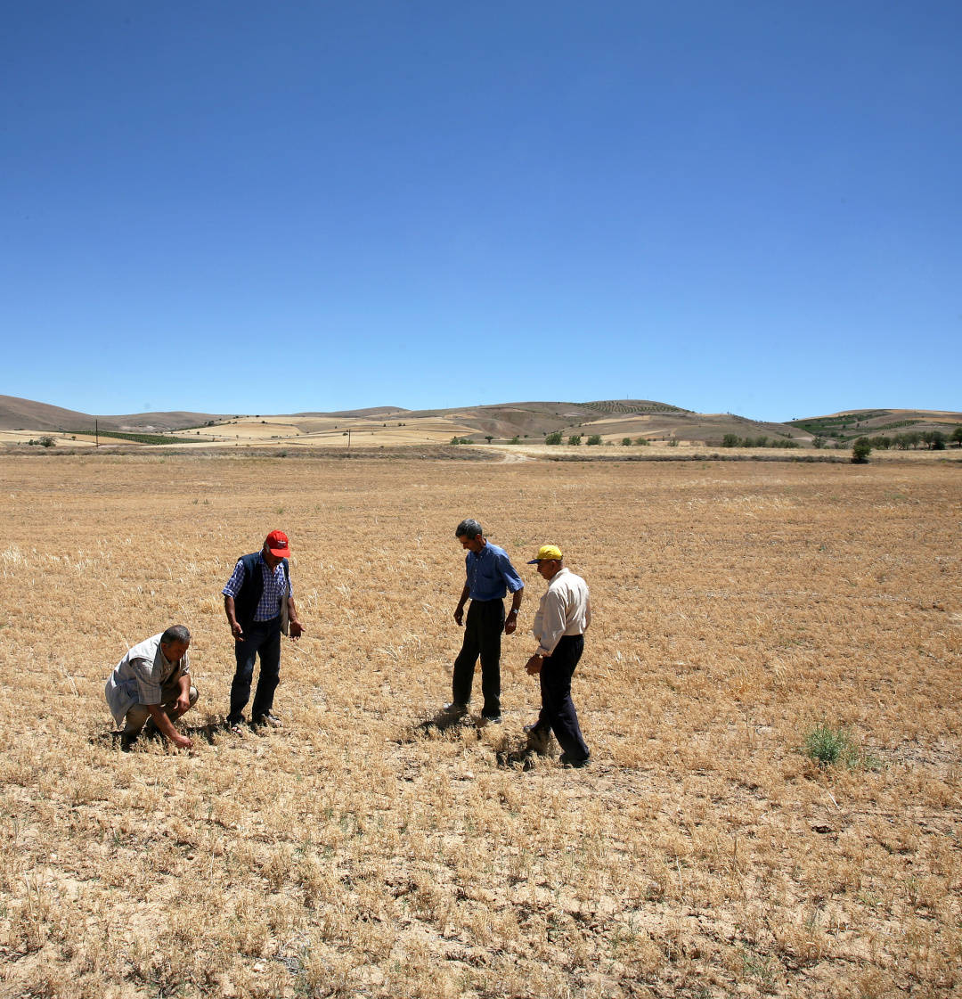 PG电子官网入口-关于土耳其战平挪威，积分略有增加但仍需努力的信息