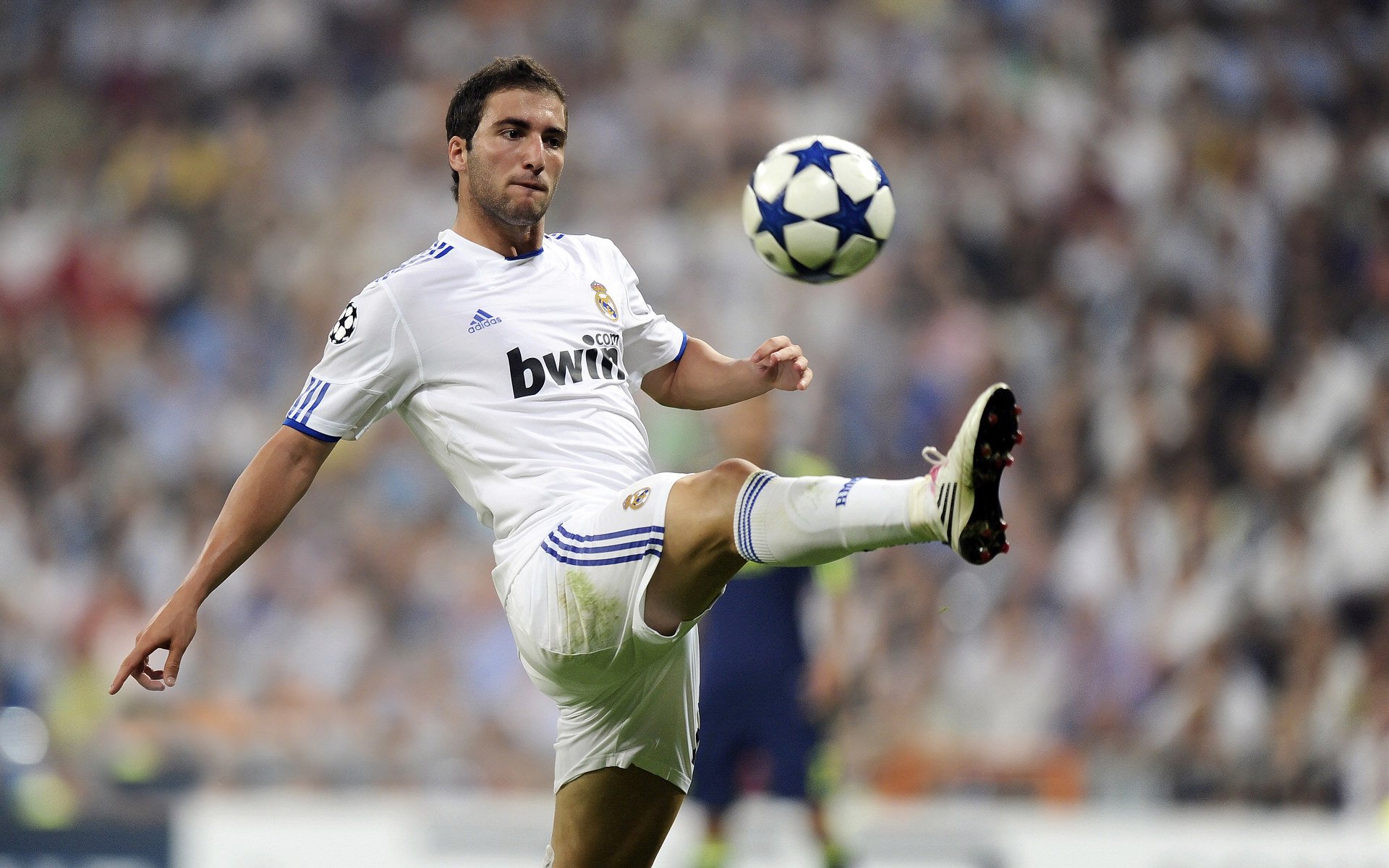 当角斗场遇见球场,文明传承与英雄主义的双重奏